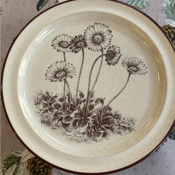 Noritake Dinnerware -Desert Flowers-7 dinner plates